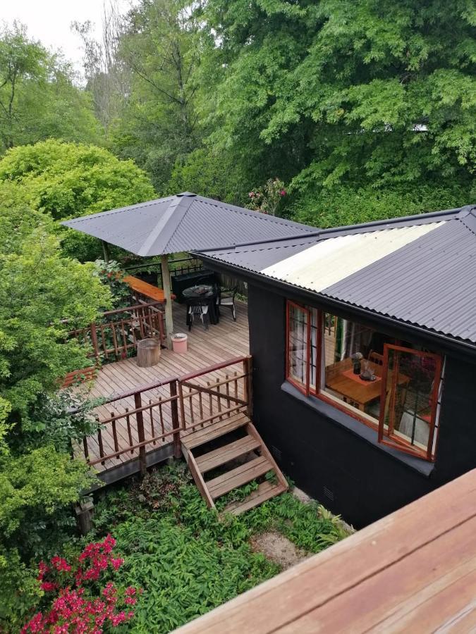 Maple Grove Βίλα Hogsback Εξωτερικό φωτογραφία