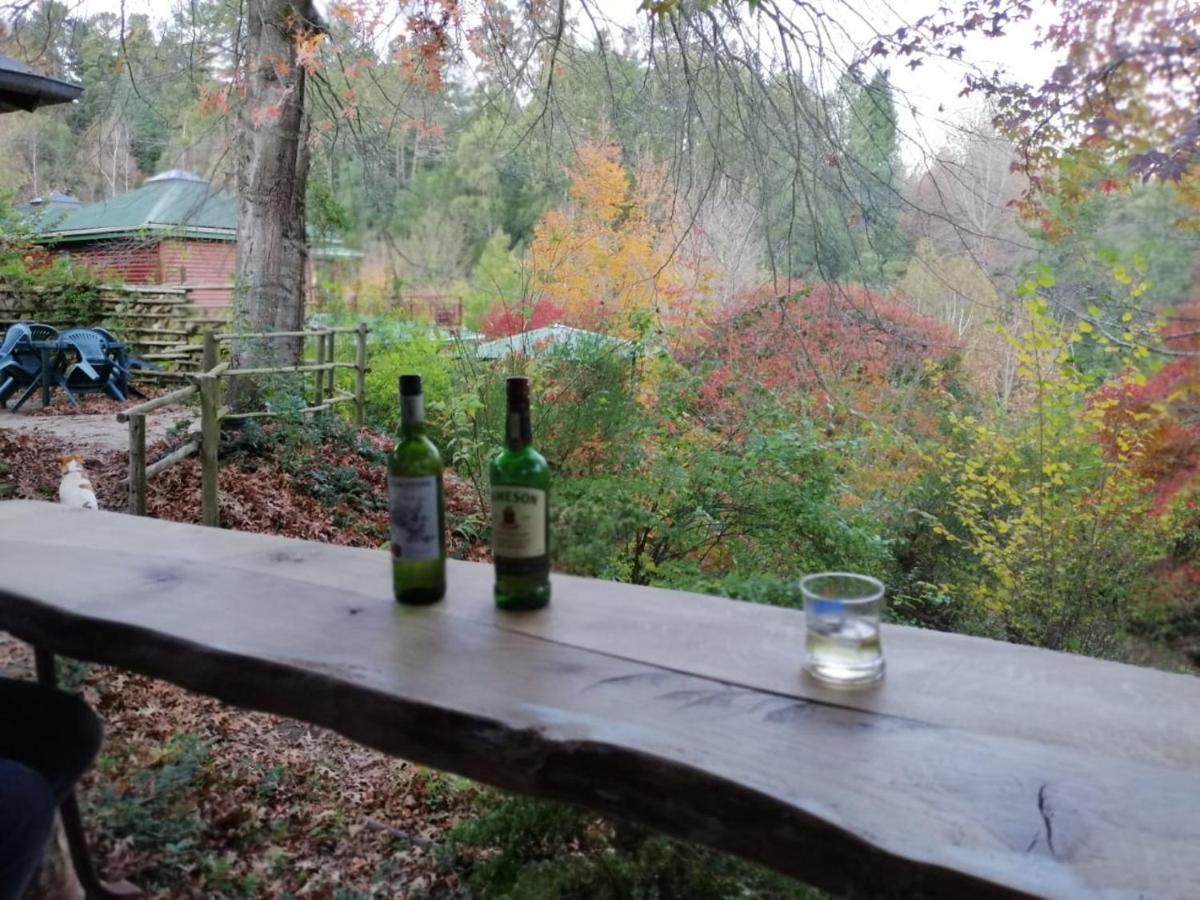 Maple Grove Βίλα Hogsback Εξωτερικό φωτογραφία