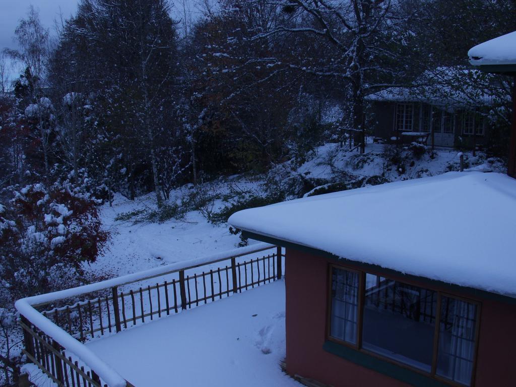 Maple Grove Βίλα Hogsback Δωμάτιο φωτογραφία