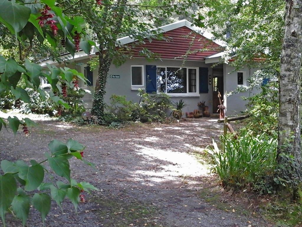 Maple Grove Βίλα Hogsback Εξωτερικό φωτογραφία