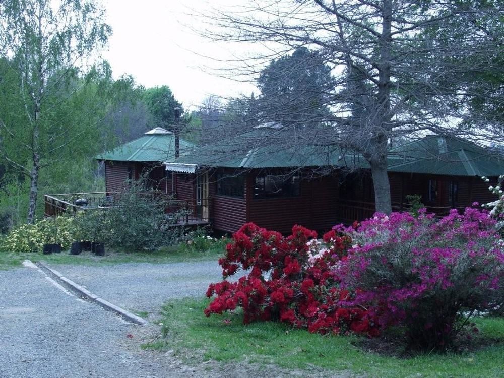 Maple Grove Βίλα Hogsback Εξωτερικό φωτογραφία
