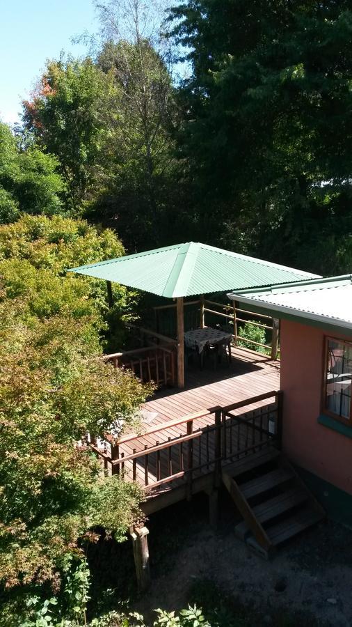 Maple Grove Βίλα Hogsback Εξωτερικό φωτογραφία