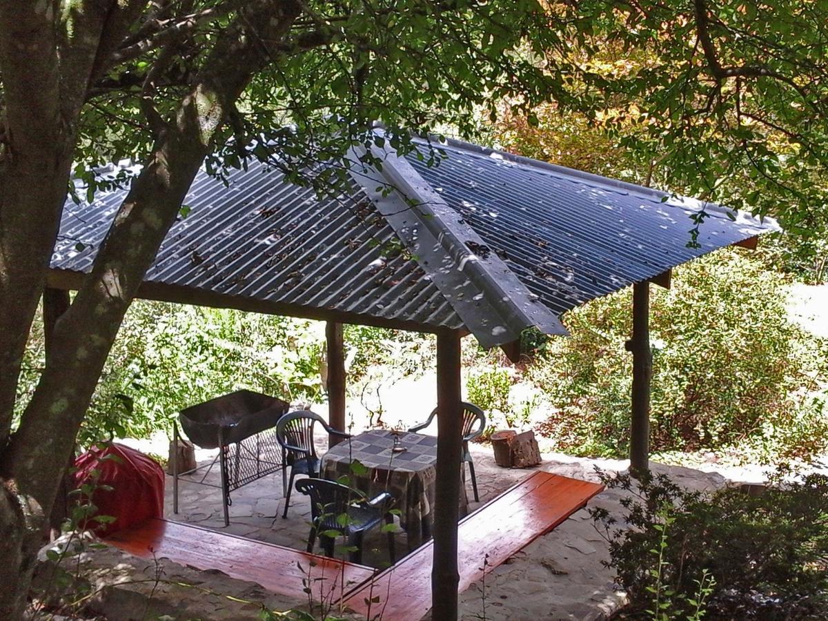 Maple Grove Βίλα Hogsback Εξωτερικό φωτογραφία
