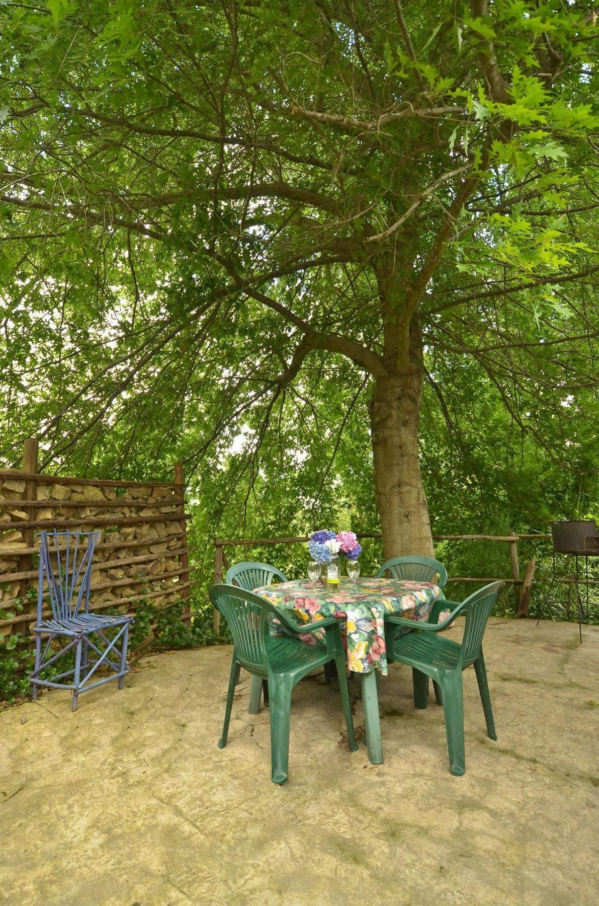 Maple Grove Βίλα Hogsback Εξωτερικό φωτογραφία