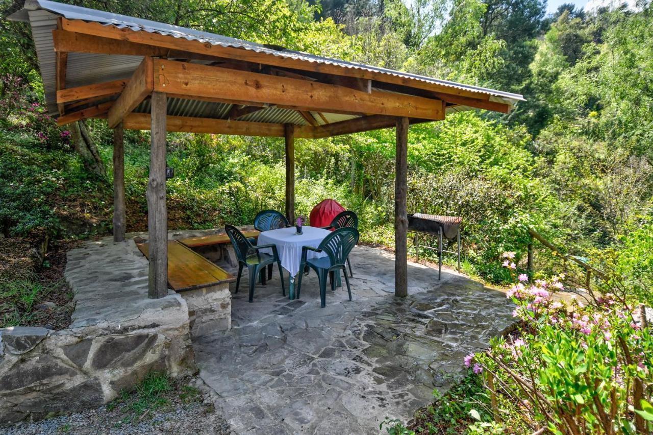 Maple Grove Βίλα Hogsback Εξωτερικό φωτογραφία