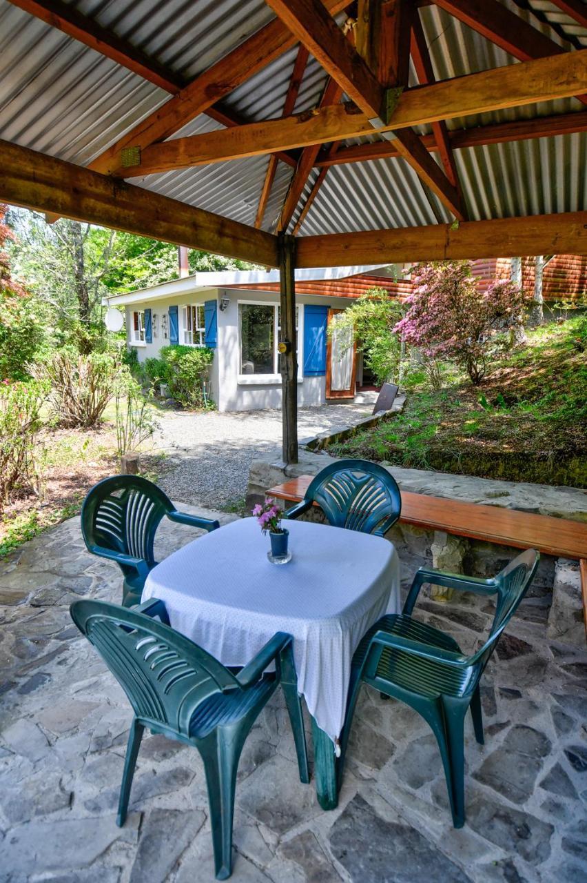 Maple Grove Βίλα Hogsback Εξωτερικό φωτογραφία