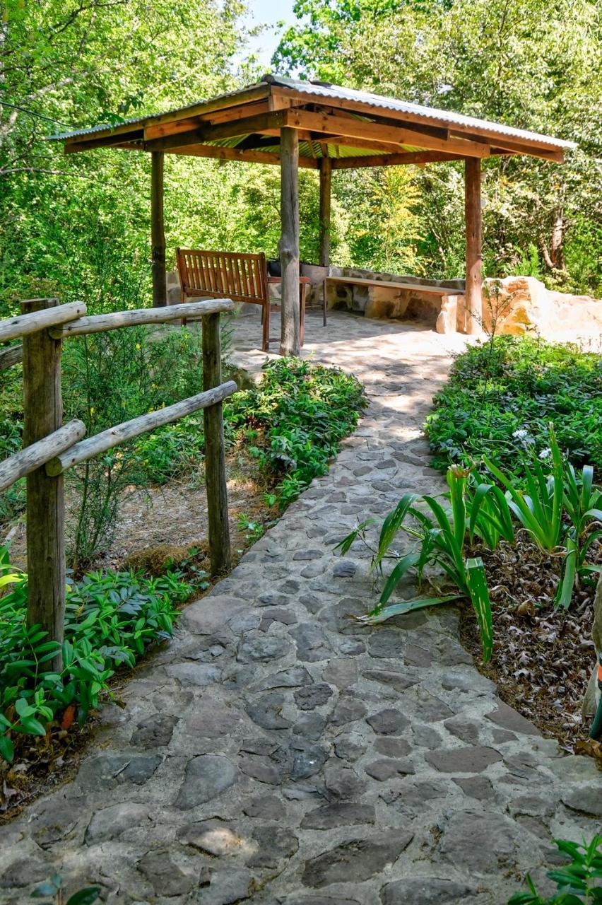 Maple Grove Βίλα Hogsback Εξωτερικό φωτογραφία