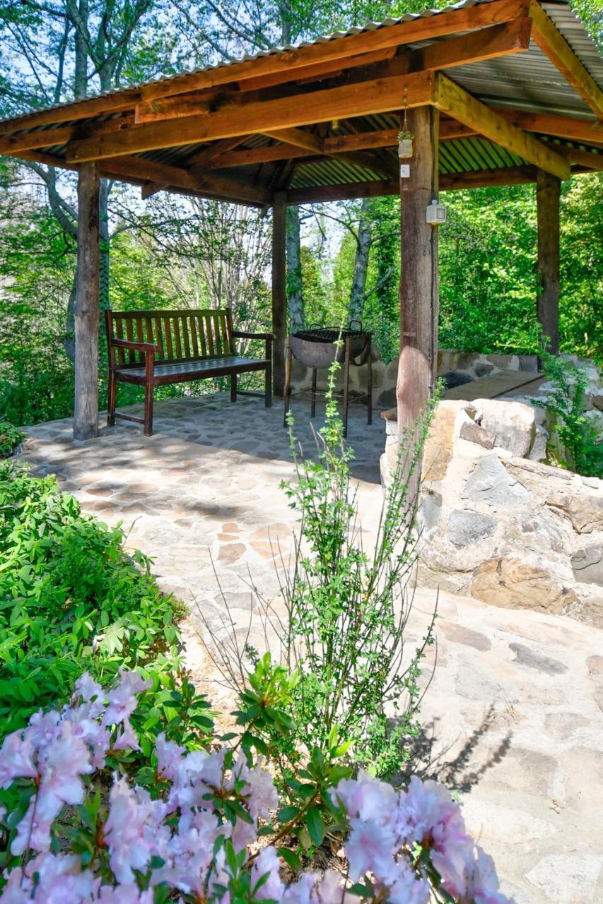 Maple Grove Βίλα Hogsback Εξωτερικό φωτογραφία
