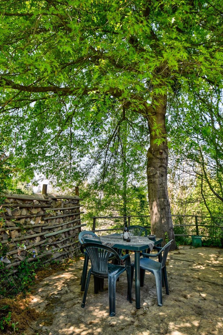Maple Grove Βίλα Hogsback Εξωτερικό φωτογραφία